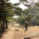 금호재