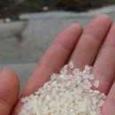 창리정미소 이미지