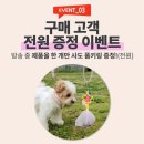 펫 & 쇼핑 이미지