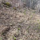 장중은농장 이미지