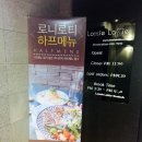 로티주 이미지