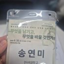 백석대학교 일반대학원 | 2026년 한국특수교육학회 하계학술대회 참석 후기 | 사람을 먼저 보는 교육