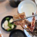 통큰회물회 - 북구 칠곡중앙대로46길 12 | 통큰회물회