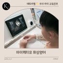 [단기과정 3차][온라인]일상영어회화[8주] | 아이캐치유 화상영어