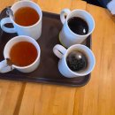 새 조형물 및 분수 이미지