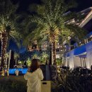 비아피 클럽 이미지