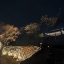 보령청과 이미지