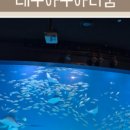 하운드호텔 대구성서 이미지