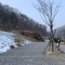 [경기/가평] 몽리치 (오토캠핑장, 글램핑, 팬션)