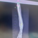 신탄진 동물병원 이미지