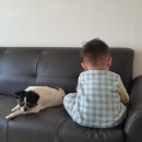 김정복동물병원 이미지