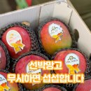 칠성선박 네이버블로그