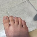하와뷰티