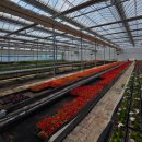 김해시농업기술센터 | 김해시 농업기술센터 꽃양묘장체험 김해 아이와 가볼만한 곳