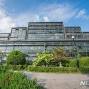서울대공원식물원 이미지