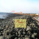 온평환해장성 이미지