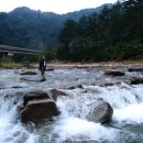 진부령 목장 이미지