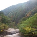 점필재로 이미지