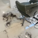 연산동 미용실 추천 :) 드디어 정착한 안녕헤어 연산점