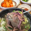 해초곱창 | 대전 월평동 맛집, 건더기가 듬뿍 아리랑소국밥&야채곱창 다녀온 후기