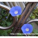 어의지 입구 이미지