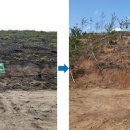 행복의 원 이미지