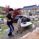 꼬꼬와아이들 이미지