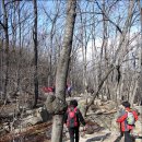 돌산공원 (입구) 이미지