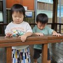 주성이네 옷 이미지