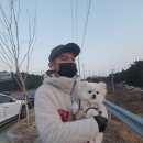 시골태화강식당 이미지