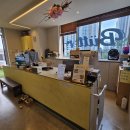 원애견샵 이미지