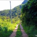 남북리 경로정 이미지