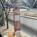 씨유을왕영심이점 | 인천시티투어 바다노선 탑승 후기 송도 놀거리(ft.천원 이벤트, 요금, 시간, 웨이팅, 이용팁)