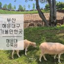 부산종합관광안내소 | 해운대수목원 후기 양떼목장 입장권 주차정보 셔틀카트 부산 해운대 가볼만한곳
