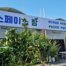 스페이스놀 이미지