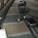 해동이국민체육센터 수영장 이미지