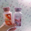 웜글로우(warm glow)