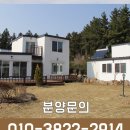 안뜰애 이미지