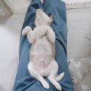 지우태권도장 | 우리의 삶이 다해도, 뿌린 씨앗들은 솟아나리