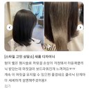 (주)정안약품 | 방배역미용실/살롱에이방배역2호점/모발클리닉의 중요성~!/클리닉받은후기🥰