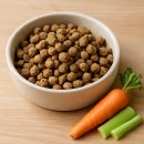 24시잠실ON동물의료센터 이미지