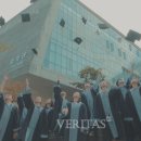 알파비디오 이미지