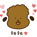 영희와바둑이 애견미용샵 이미지