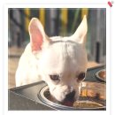 아이조아 요양보호소 서울점 이미지