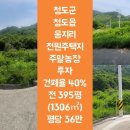 음지리농장 Daum카페