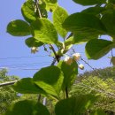 오월농장 이미지