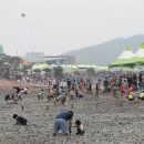 무안-1호 이미지