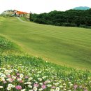 뉴스프링빌2CC 백화산