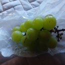 김경아한의원 이미지