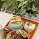 소뭇 | 제주 노형동 카페 소뭇 샐러드 맛집 후기